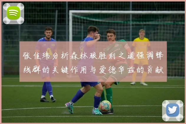 张佳玮分析森林狼胜利之道强调锋线群的关键作用与爱德华兹的贡献