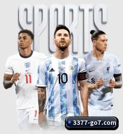 五大服务分区,信息按项目分类 - 多运动项目内容板块(3377SPORTS)