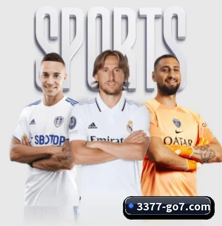 3377官网的方向(3377SPORTS)